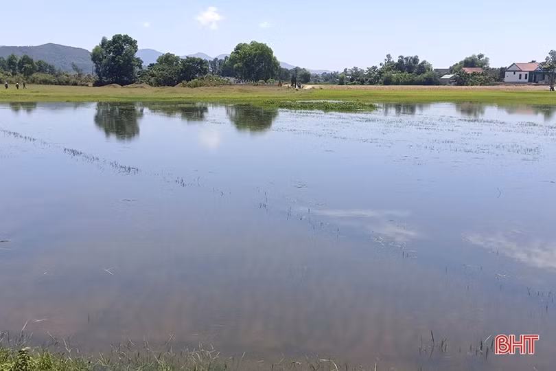 Cống tiêu kênh Ngàn Trươi gặp sự cố, nhiều nhà dân bị ngập nước, hỏng đồ đạc