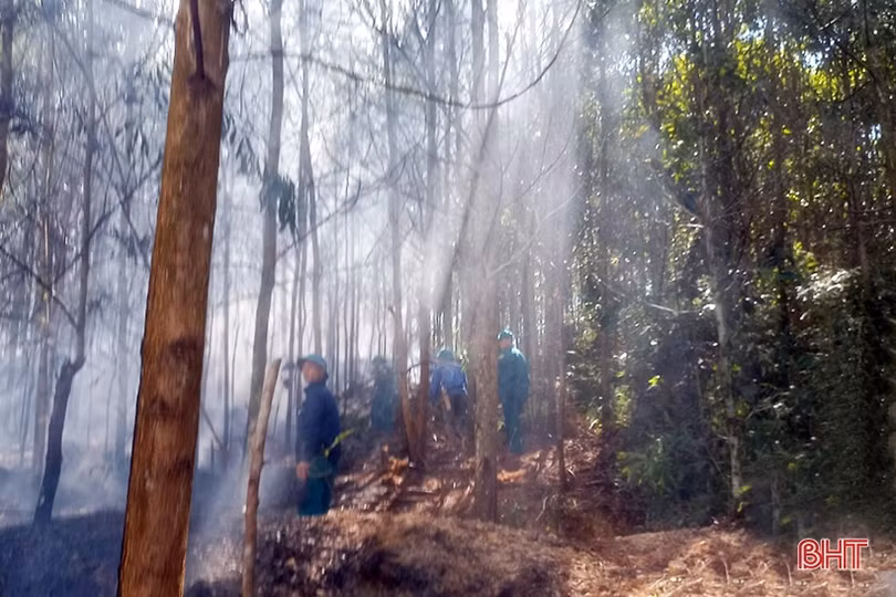 Huy động hơn 250 người kịp thời khống chế cháy rừng ở Hương Khê