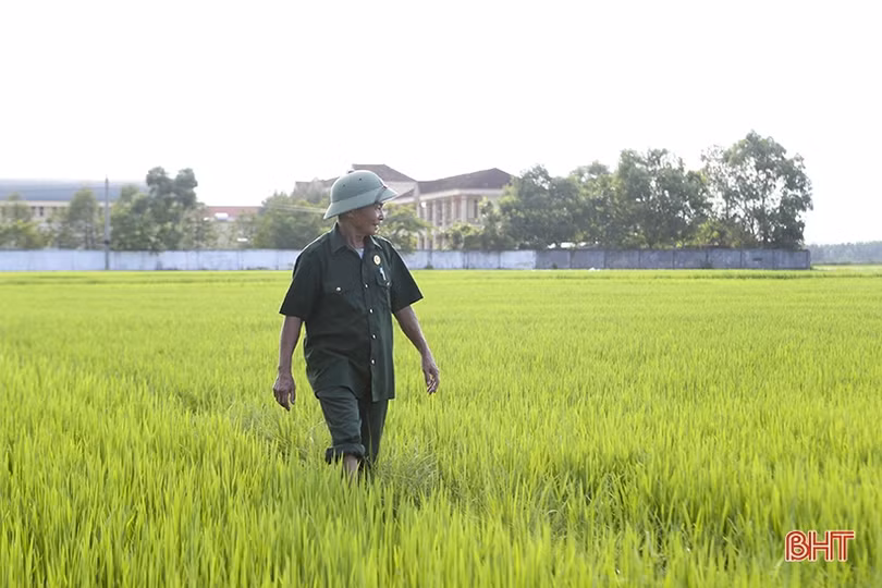 Người thương binh luôn đi đầu bước trước