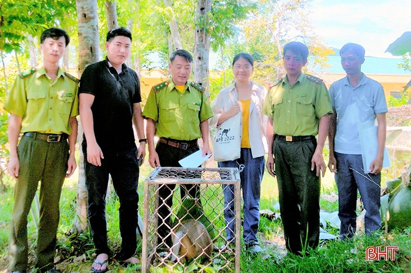 Bàn giao cá thể khỉ quý hiếm cho Vườn Quốc gia Vũ Quang