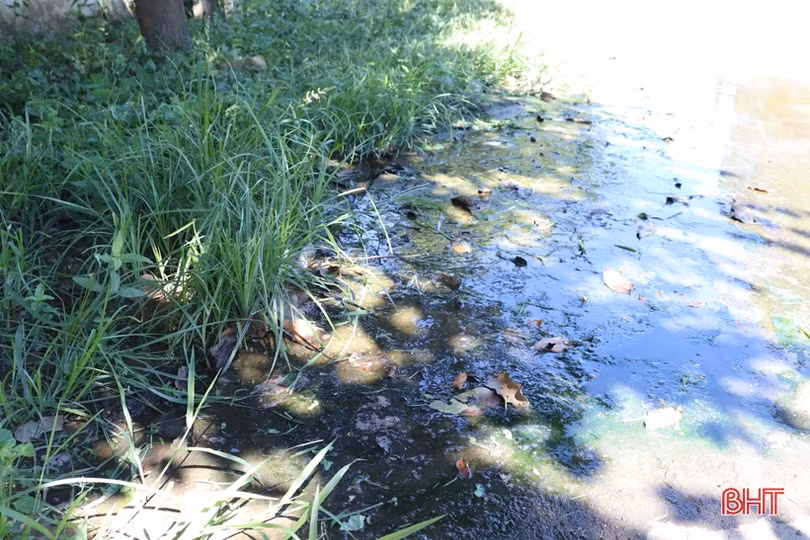 Người dân Hương Khê khốn khổ vì mương thoát thải bị tắc