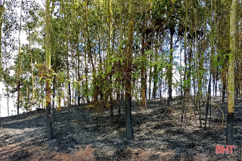 Huy động hơn 250 người kịp thời khống chế cháy rừng ở Hương Khê