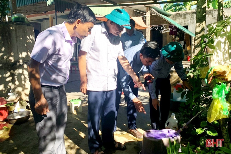 Tổ chức chiến dịch vệ sinh môi trường, diệt bọ gậy để phòng, chống sốt xuất huyết