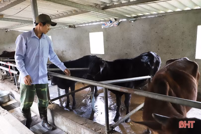 Vốn chính sách giúp người nghèo thay đổi tư duy làm kinh tế