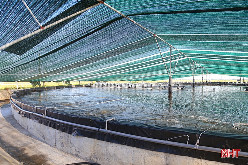 Nông dân Hà Tĩnh đầu tư tiền tỷ nuôi tôm công nghệ cao