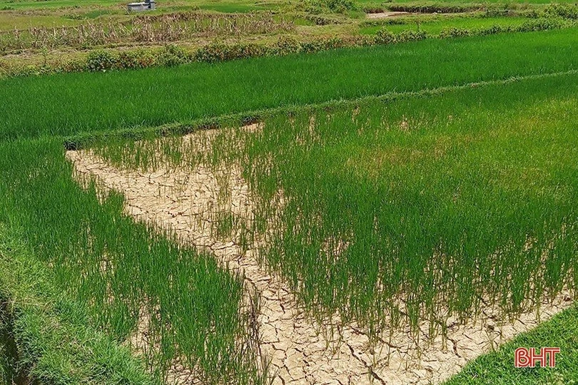 Nắng nóng kéo dài, mực nước nhiều hồ đập ở Hà Tĩnh... chạm đáy!