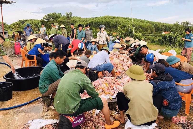 Chuyện “giải cứu” 10.000 con gà chết ngạt và tình người trong cơn hoạn nạn
