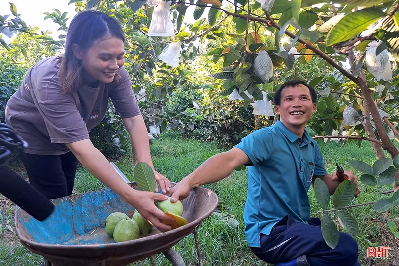 Xem vườn cây ăn quả màu mỡ của đôi vợ chồng trẻ ở xứ ca trù Hà Tĩnh