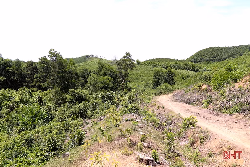 “Nút thắt” nguồn vật liệu thi công cao tốc Bắc – Nam ở Hà Tĩnh dần được tháo gỡ