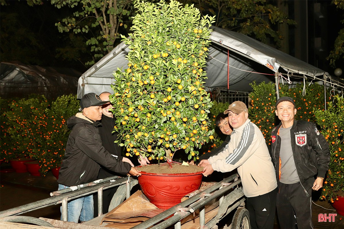 Niềm vui của những tiểu thương khi cây cảnh được khách hàng &quot;chốt đơn&quot; trong đêm lạnh.