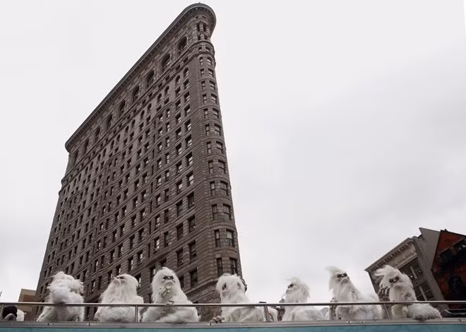 15 buc anh khien dan mang kinh ngac trong nam 2016