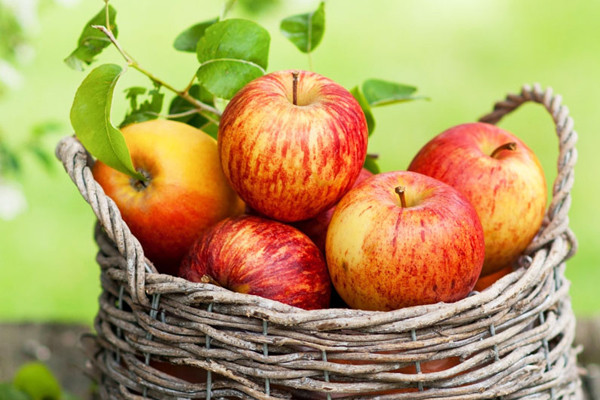 8 loai thuc pham giup no lau ho tro giam can hieu qua