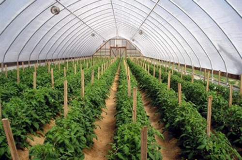 mien giam tien su dung dat cho dn dau tu vao nong nghiep nong thon