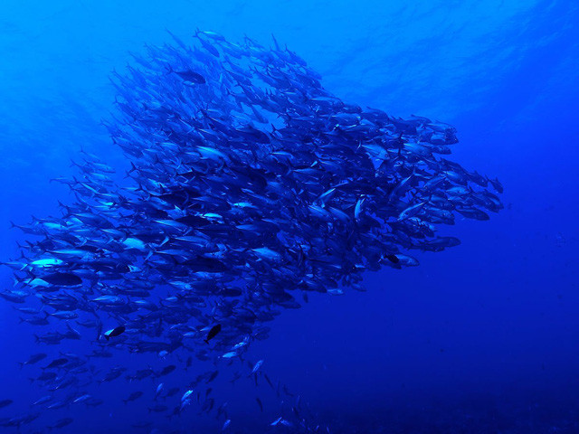 nhung diem den kho tin ton tai tren trai dat