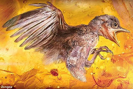 phat hien kinh ngac ve xac con chim 100 trieu nam tuoi trong ho phach