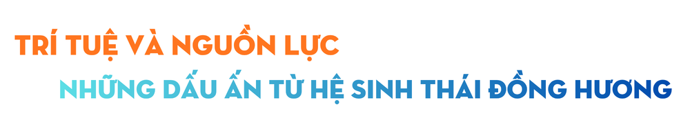 tri-tue-va-nguon-luc.png