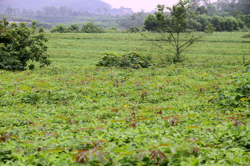 3 năm phá đá, đào sỏi xây hồ Kẻ Gỗ