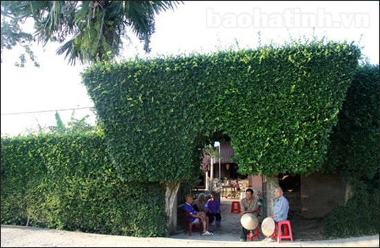 Nội lực của nhân dân đã giúp Tùng Ảnh trở thành một trong những điểm sáng về xây dựng nông thôn mới.