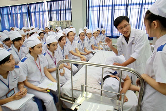 Nhật Bản tiếp tục tuyển dụng điều dưỡng Việt Nam ảnh 1