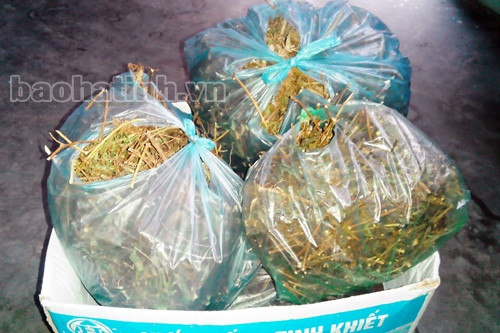 Cảnh giác với chiêu trò bói toán, bán thuốc chữa bệnh ảnh 2