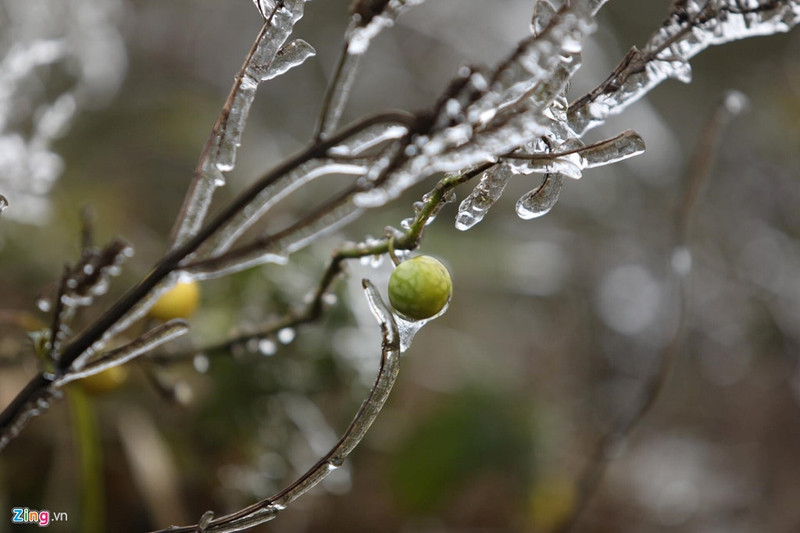 can canh bang gia ky thu o sa pa