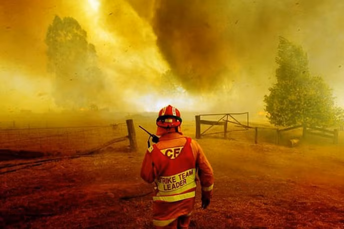 chum anh nang nong kinh hoang tai australia