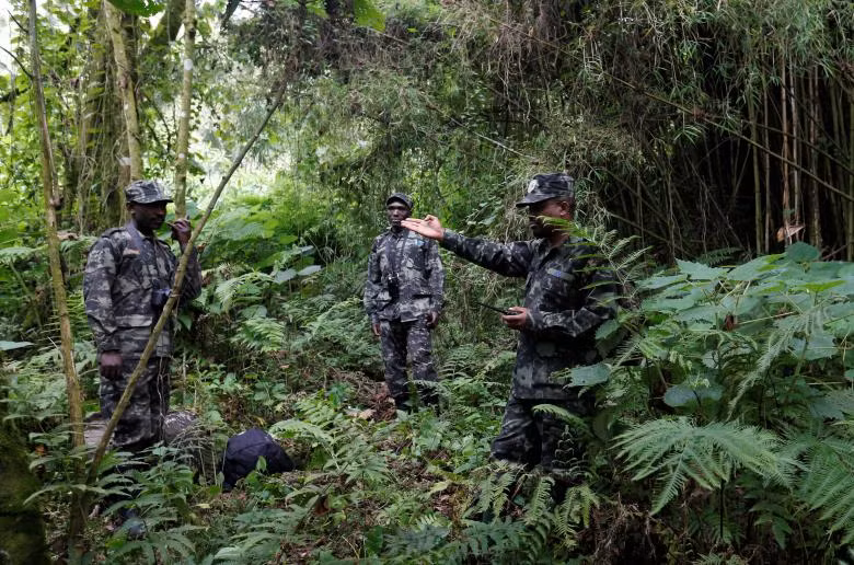 loai khi dot nui o rwanda dung tren bo vuc tuyet chung