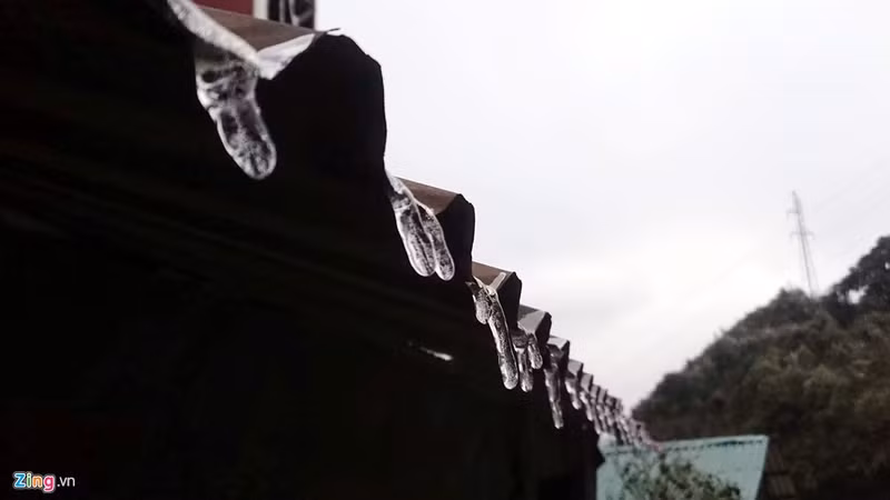 can canh bang gia ky thu o sa pa