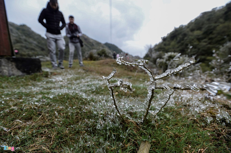 can canh bang gia ky thu o sa pa