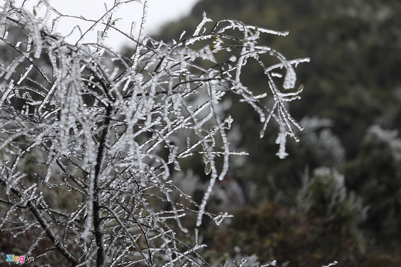 can canh bang gia ky thu o sa pa