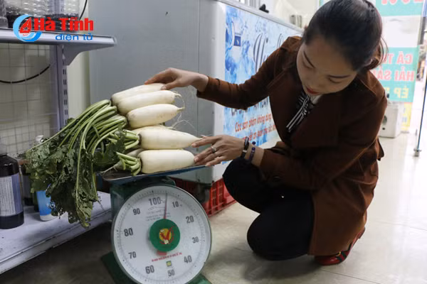 cu cai vung bien ngang ha tinh me hoac nguoi tieu dung