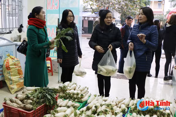 cu cai vung bien ngang ha tinh me hoac nguoi tieu dung