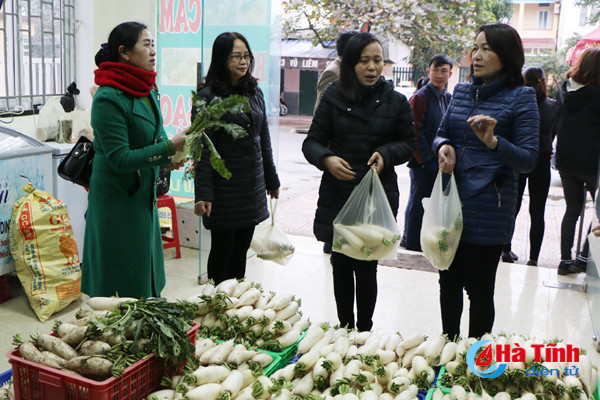 cu cai vung bien ngang ha tinh me hoac nguoi tieu dung