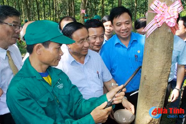 doan ket doi moi vi loi ich doan vien nguoi lao dong ha tinh