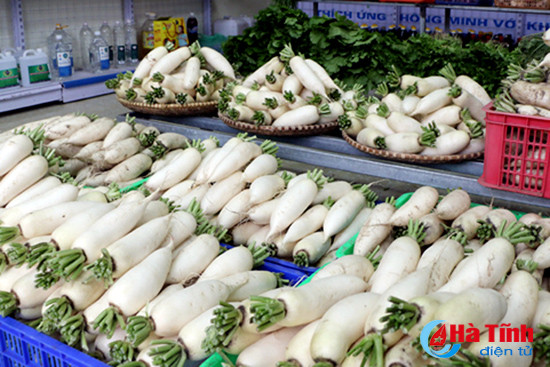 cu cai vung bien ngang ha tinh me hoac nguoi tieu dung