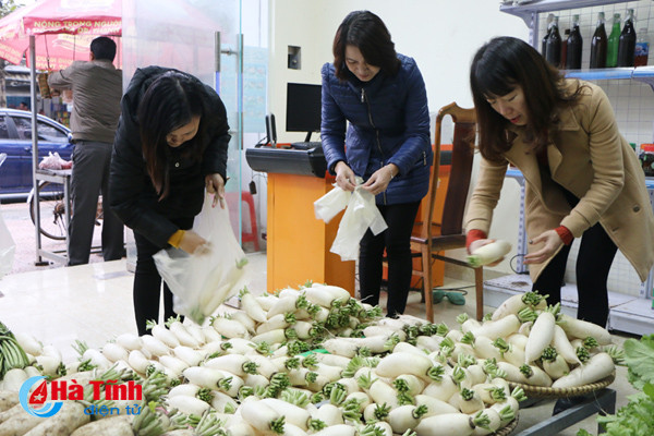 cu cai vung bien ngang ha tinh me hoac nguoi tieu dung