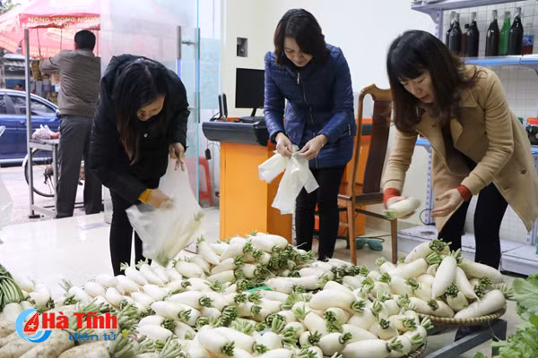 cu cai vung bien ngang ha tinh me hoac nguoi tieu dung