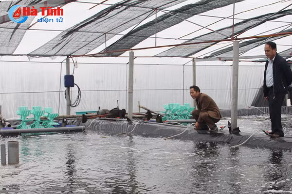 uong giong tom trong nha gieo chu dam trung dam