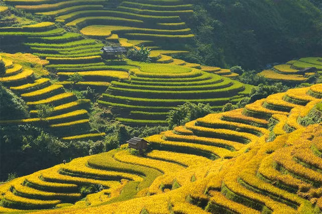 10 canh quan ngoan muc khien ai cung muon chiem nguong mot lan trong doi