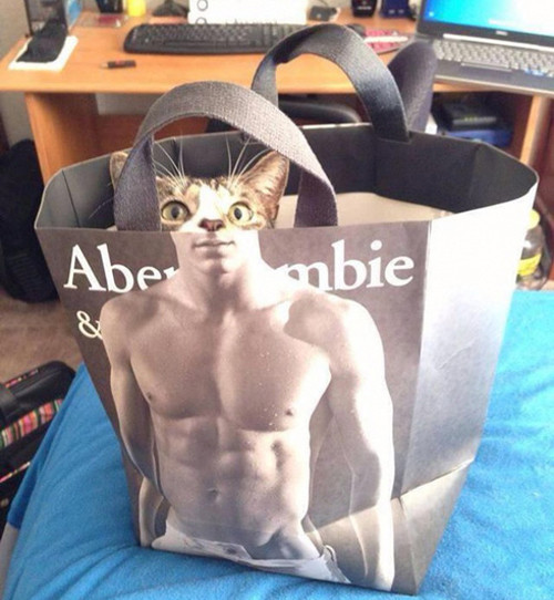 1 001 khoanh khac trung hop khien nguoi xem sung so