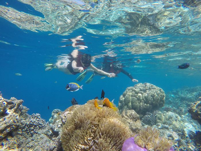 9 dieu can biet truoc khi bay den thien duong maldives