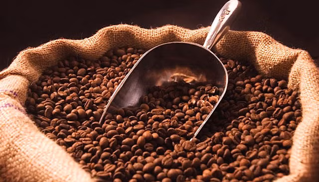 diem danh 10 loai ca phe dat nhat the gioi