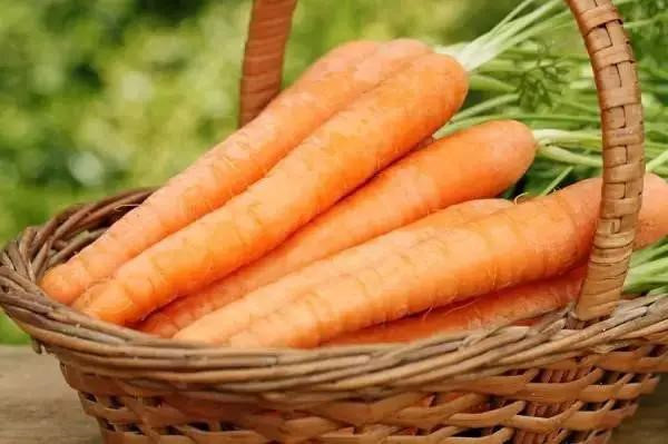 ca rot se thanh thuoc doc neu an voi nhung thu nay