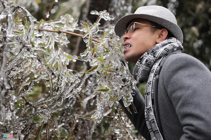 can canh bang gia ky thu o sa pa