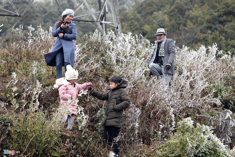 can canh bang gia ky thu o sa pa