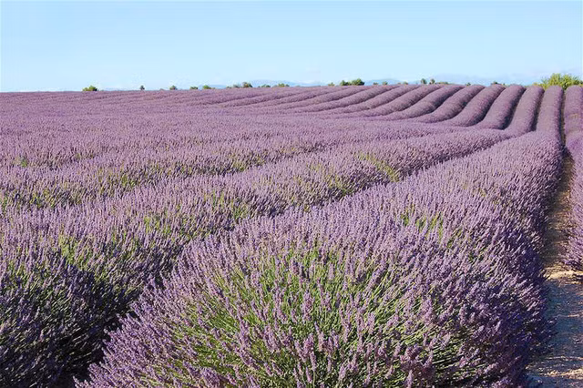 10 canh quan ngoan muc khien ai cung muon chiem nguong mot lan trong doi