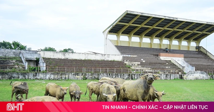 baohatinh.vn