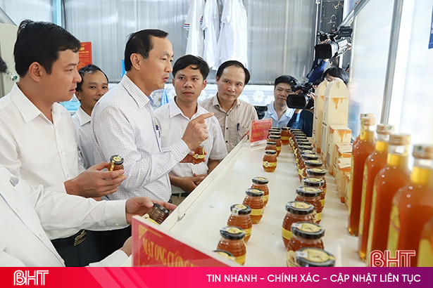 Hà Tĩnh xây dựng quy trình sản xuất và kiểm tra chất lượng sản phẩm OCOP