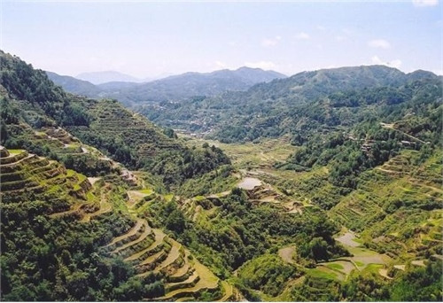 Ruộng bậc thang Banaue, Philippines.