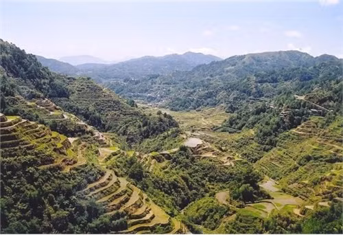 Ruộng bậc thang Banaue, Philippines.